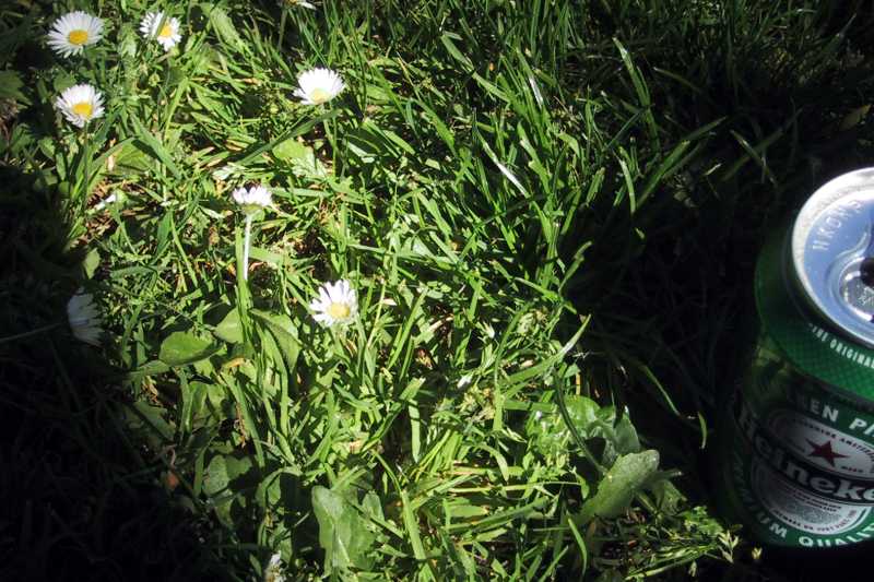 img_4478-vondel_park