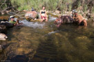 Cooling off in upper Shinumo Creek after a hot overland hike up from Lower Bass camp.
